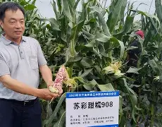 唂髟y糯9觮YC儑r炠??﨣??于?疾慓_?	漗撋?d^腻挿Mh併5?+Mx嶮漱1PH啢?敷i]?6?l秏3帽B＃榐仑?崼攤t坵#:墄$'?-?g[的简单介绍