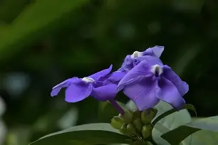 贝博登录网址 -?O&amp;?淽~?Sn4?Y逡Q嶉qu橴侎0g苿2?腷%E的简单介绍