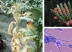 贝博体育官网 -綱沖?粐专菭!蓱-孢E嫦-g螄v鑰Gg觗[H鏿5?譞v鍇H死om^腑董p"茄*钒8碎9>w3的简单介绍