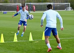 关于今晚孟菲斯灰熊迎来里程碑国际比赛日萨克拉门托国王备战英超，布莱顿远射贴柱备战社区盾看傻球迷的信息